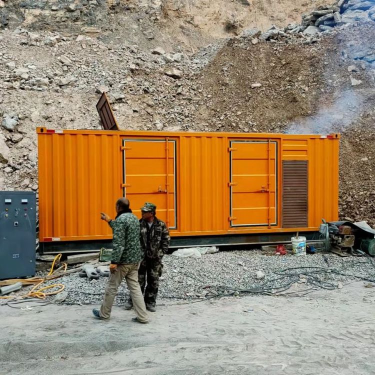 新昌如何选择适合自己的 800KW 柴油发电机组?